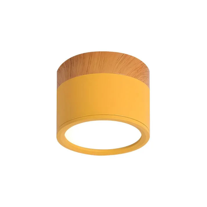 Variant image for Skandinavische LED-Deckenleuchte im Zylinderdesign | Energieeffiziente Deckenlampe für Wohnzimmer und Flure-21