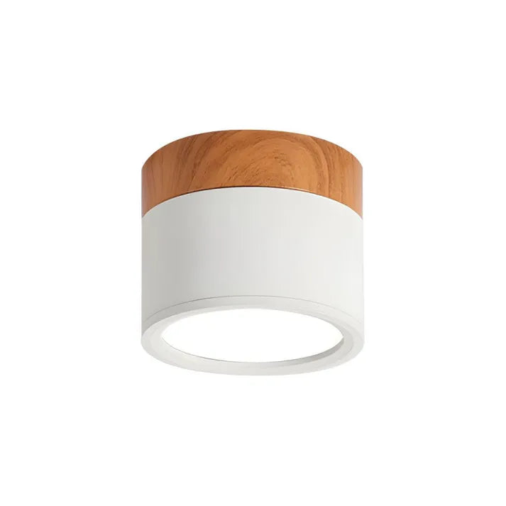 Variant image for Skandinavische LED-Deckenleuchte im Zylinderdesign | Energieeffiziente Deckenlampe für Wohnzimmer und Flure-5