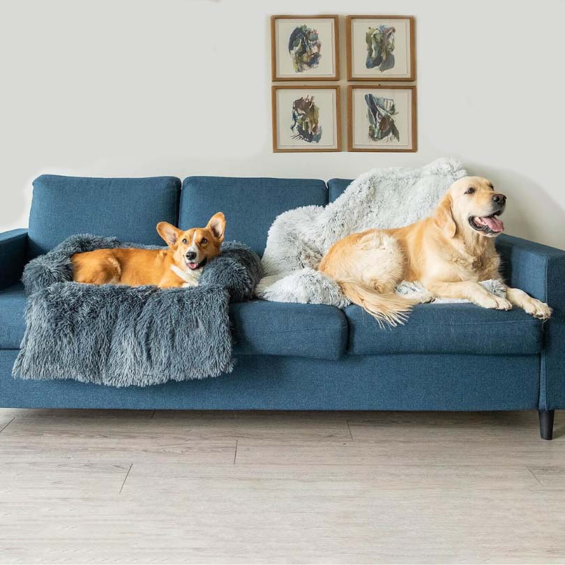 Beruhigende Hundedecke | Komfortable Reisedecke für Hunde 4