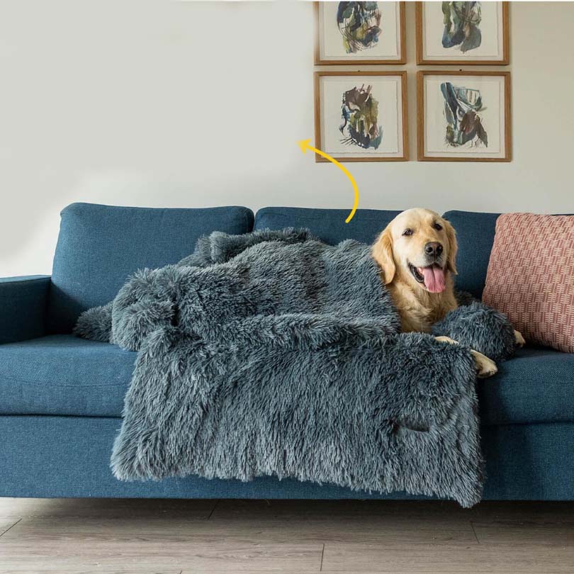 Beruhigende Hundedecke | Komfortable Reisedecke für Hunde 6