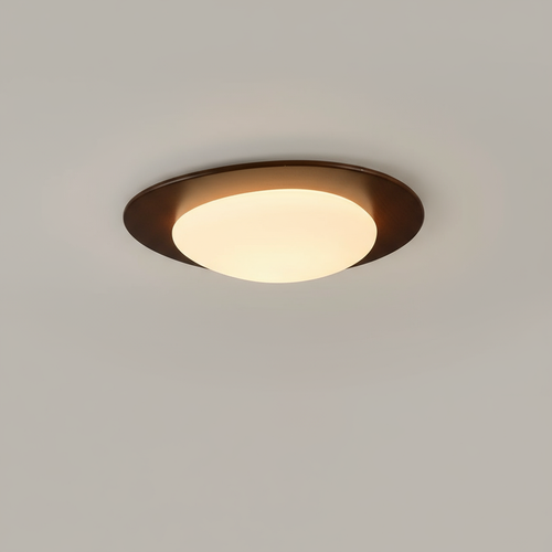 Scandinavische plafondlamp