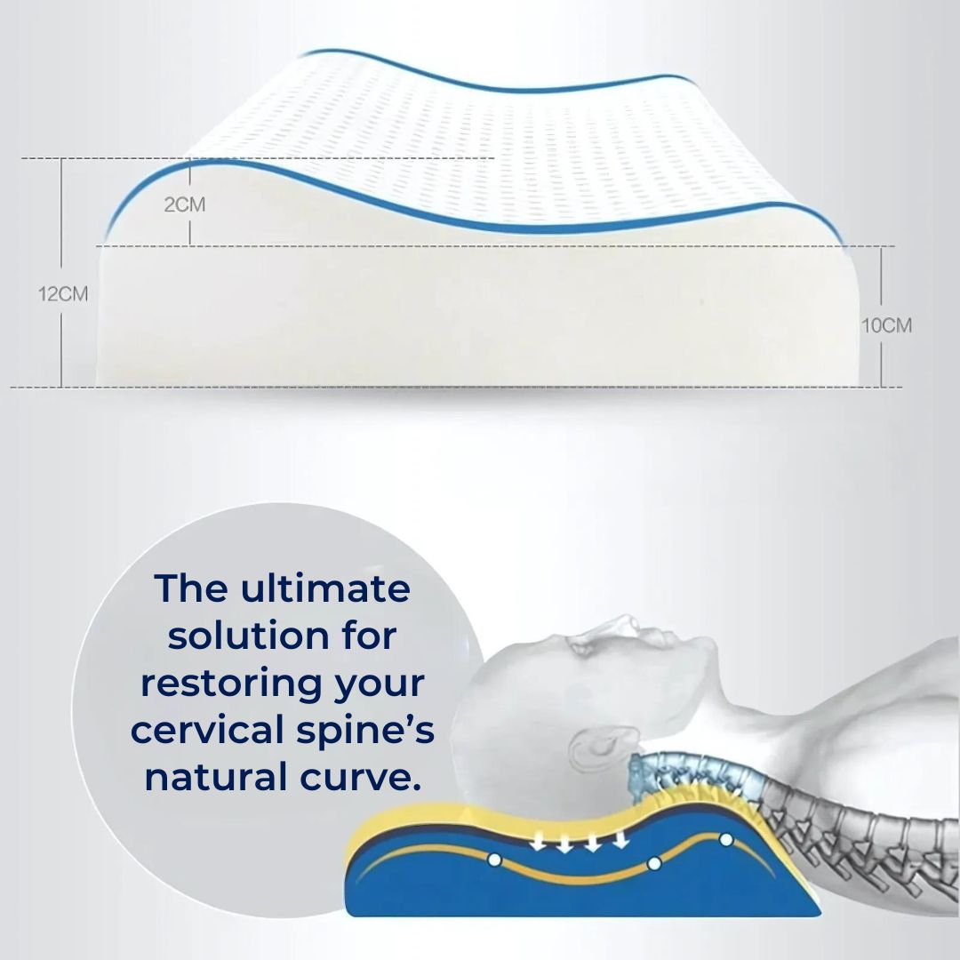 EcoNeck Comfort | Orthopädisches Nackenstützkissen aus Naturkautschuk 7