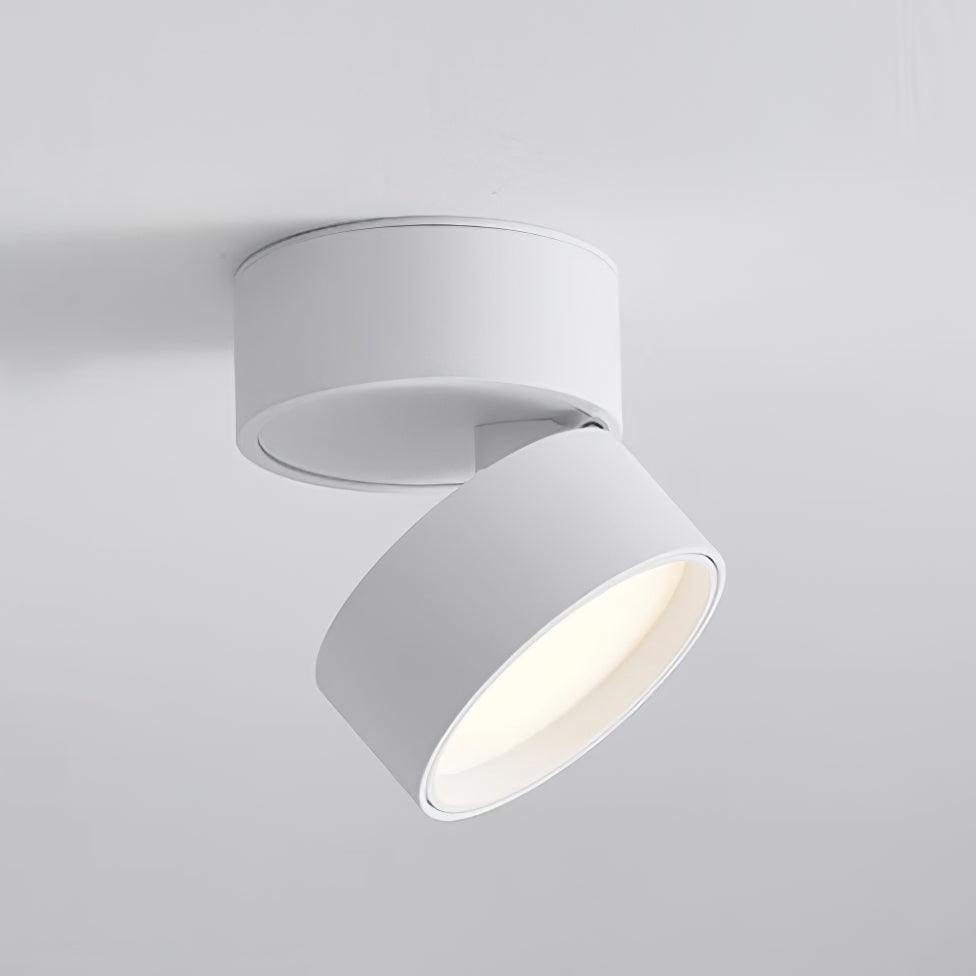 Variant image for Favilla LED Deckenleuchte mit Verstellbarem Mechanismus – Aluminium, Warmweiß 3000K, Kompakt für Wohnzimmer und Akzentbeleuchtung-2