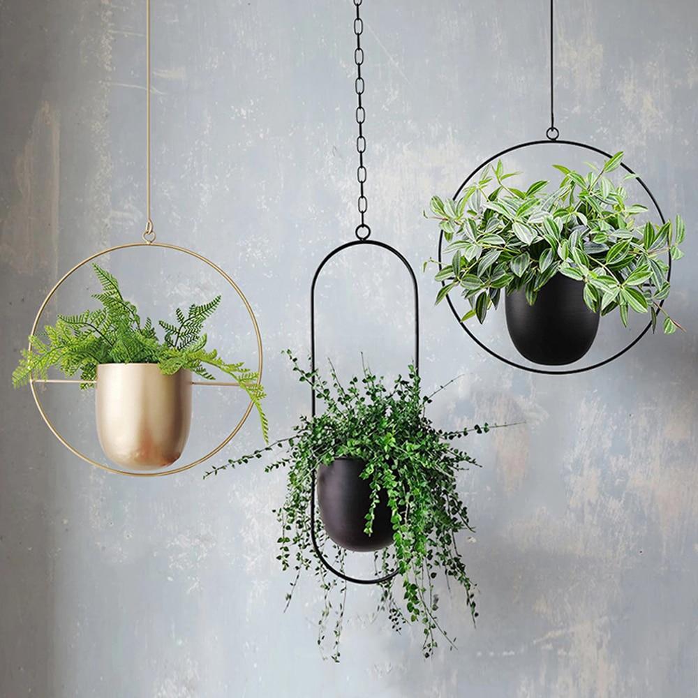 FloraFrame | Moderne Pflanzen Halterung aus Eisen 1