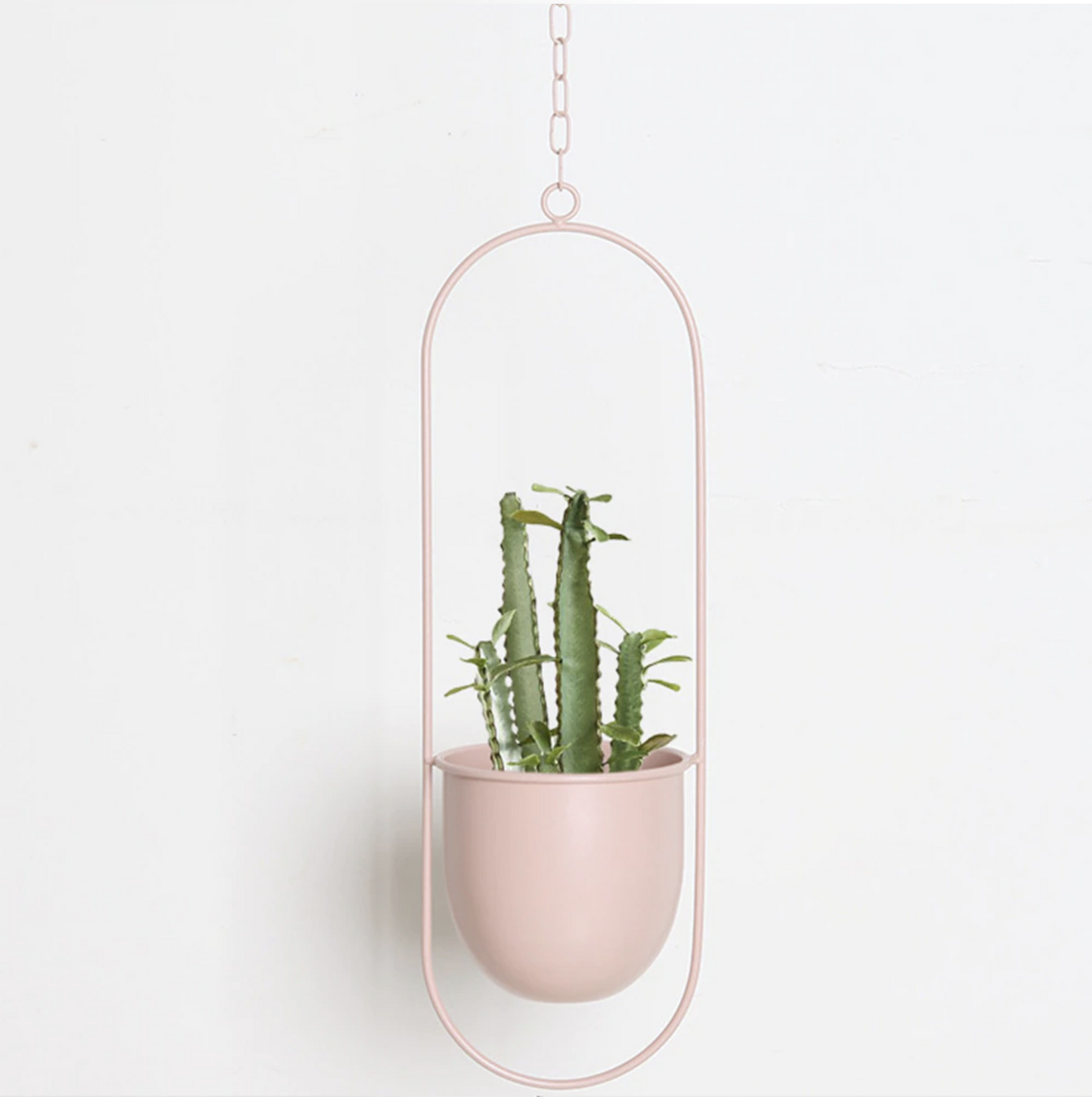 FloraFrame | Moderne Pflanzen Halterung aus Eisen 3