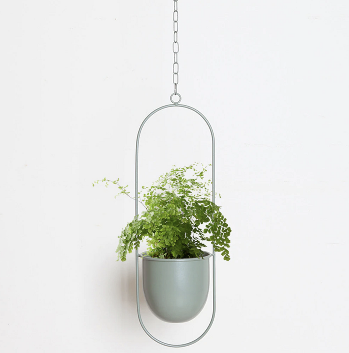 FloraFrame | Moderne Pflanzen Halterung aus Eisen 4
