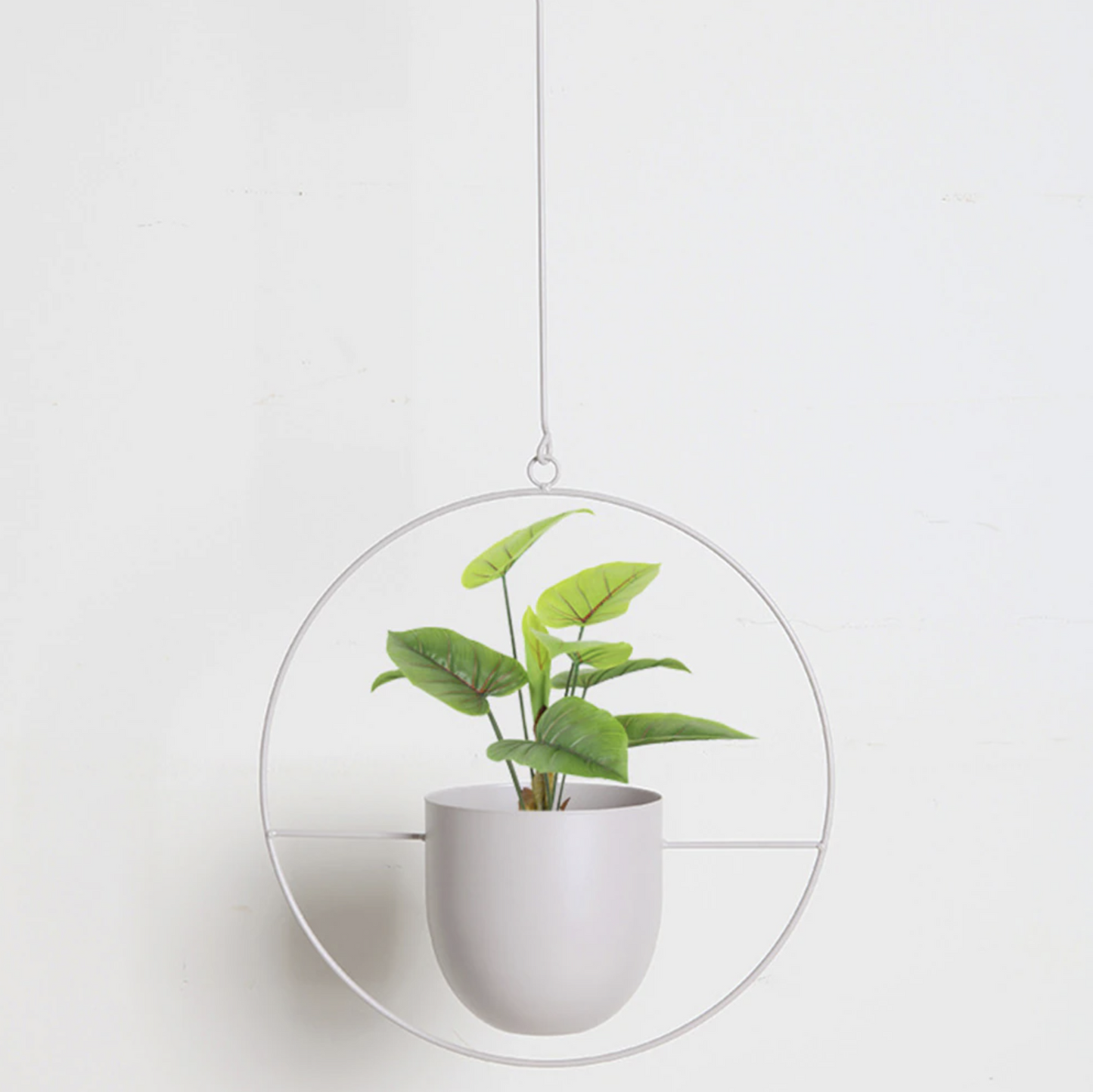 FloraFrame | Moderne Pflanzen Halterung aus Eisen 5