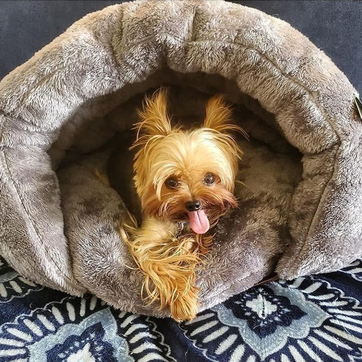 Gemütliches Höhlenbett für Hunde | Entspannungsbett Beige 1