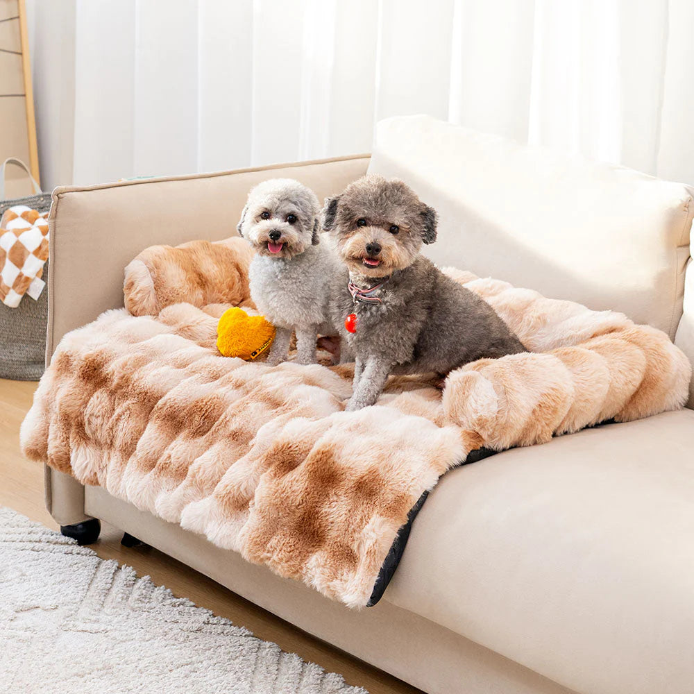 Gemütliches Hundebett | Schlafsofa für Hunde mit Memory-Schaum 2
