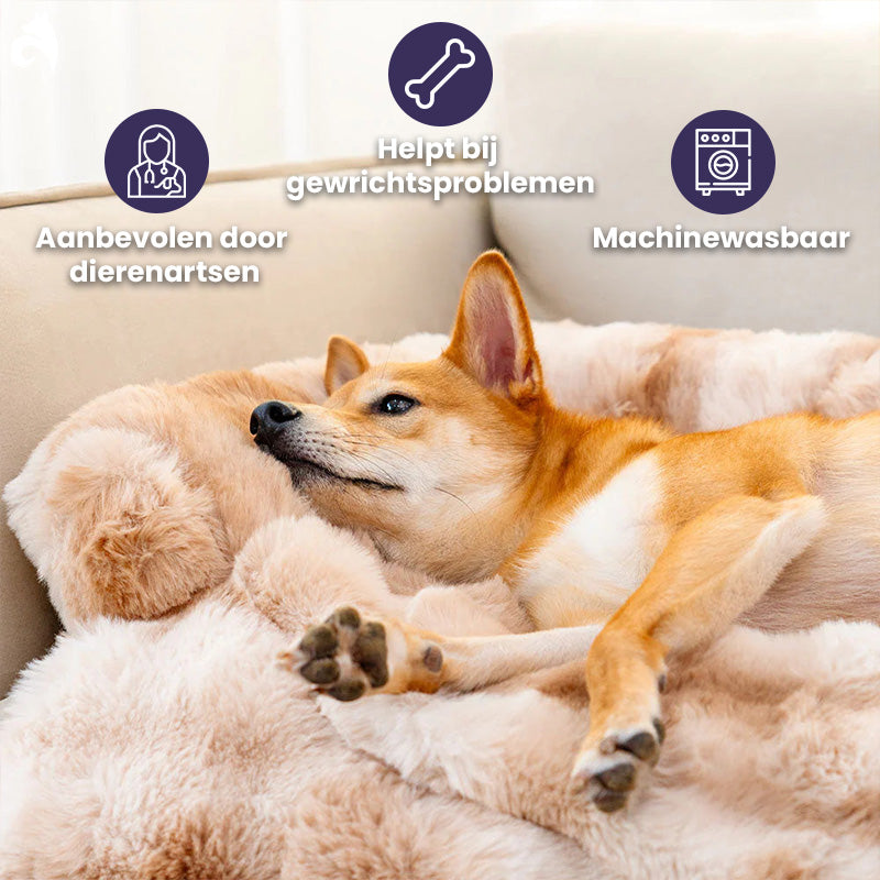 Gemütliches Hundebett | Schlafsofa für Hunde mit Memory-Schaum 3