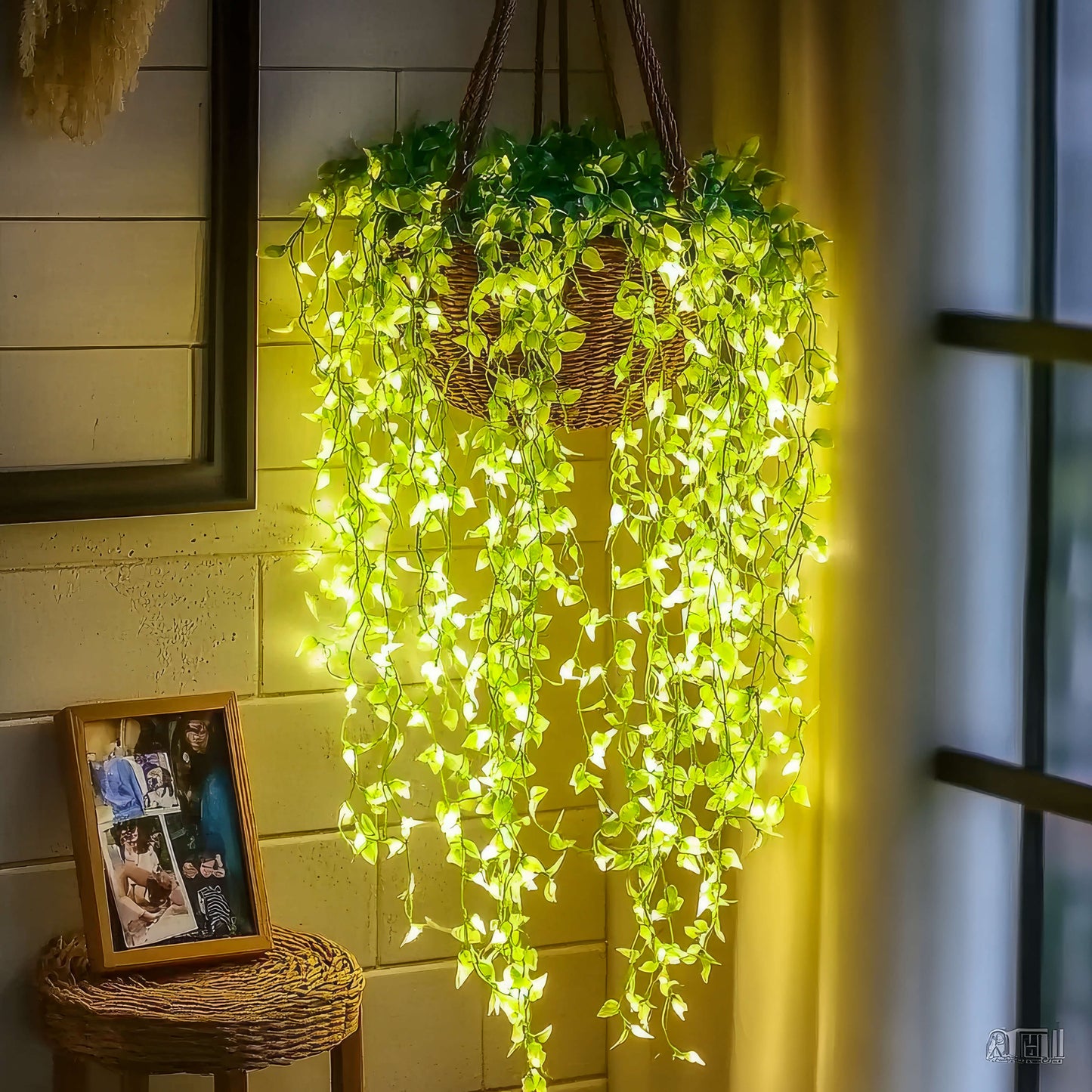 Lush Light Vine | LED Lichterkette Grün 3m 1