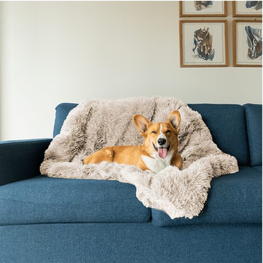 Beruhigende Hundedecke | Komfortable Reisedecke für Hunde 0