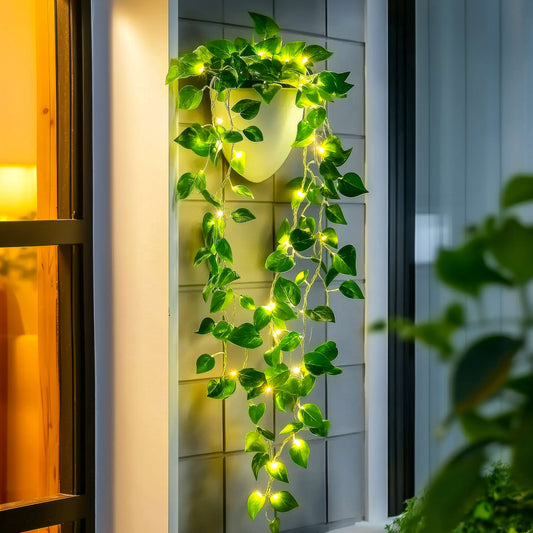 Efeulichter | LED Lichterkette für Innen und Außen 0