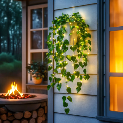 Efeulichter | LED Lichterkette für Innen und Außen 1