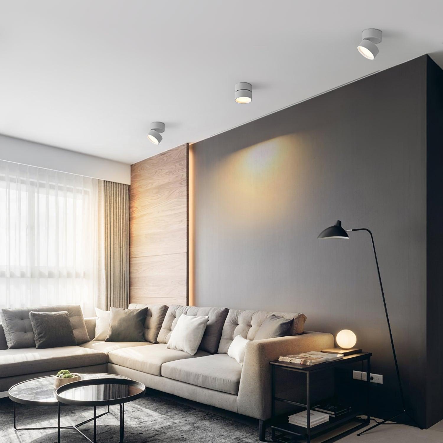 Favilla LED Deckenleuchte mit Verstellbarem Mechanismus – Aluminium, Warmweiß 3000K, Kompakt für Wohnzimmer und Akzentbeleuchtung-4