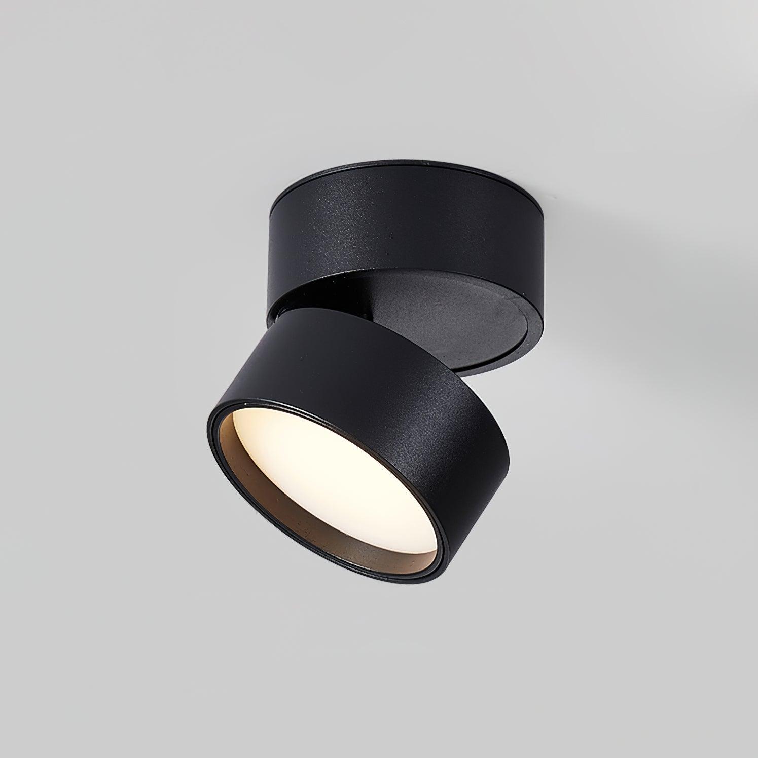 Favilla LED Deckenleuchte mit Verstellbarem Mechanismus – Aluminium, Warmweiß 3000K, Kompakt für Wohnzimmer und Akzentbeleuchtung-1