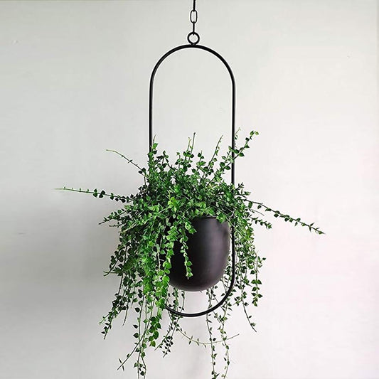 FloraFrame | Moderne Pflanzen Halterung aus Eisen 0