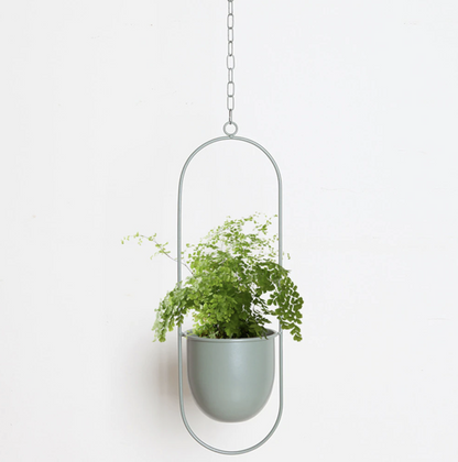 FloraFrame | Moderne Pflanzen Halterung aus Eisen 4