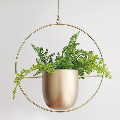 FloraFrame | Moderne Pflanzen Halterung aus Eisen 7