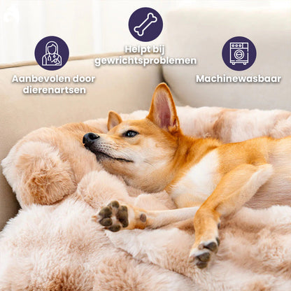 Gemütliches Hundebett | Schlafsofa für Hunde mit Memory-Schaum 3