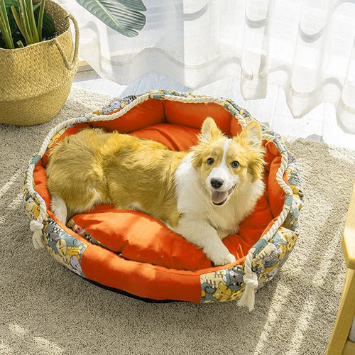 Hundebett Mit Stauraum Und Kauseil | Komfort Für Welpen 0
