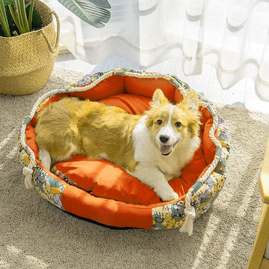 Hundebett Mit Stauraum Und Kauseil | Komfort Für Welpen 0