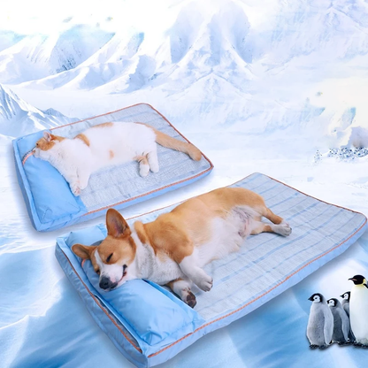 Kühlbett für Hunde | Atmungsaktives Hundebett mit Gel-Memory-Schaum 4